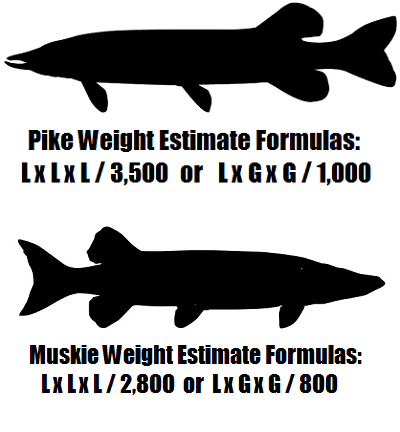 MuskiePike Formula