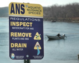 ANS Signage NDGF.jpg