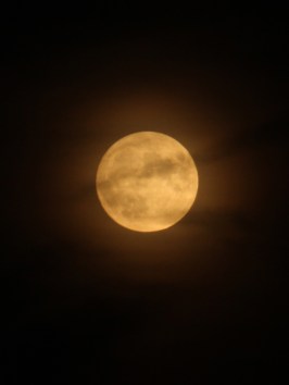 Sturgeon Moon