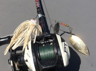 WhiteSpinnerbait