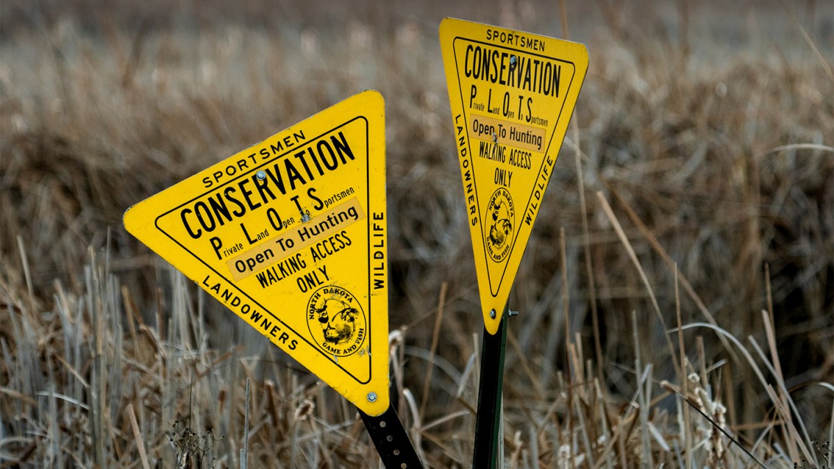 The PLOTS-CRP Connection